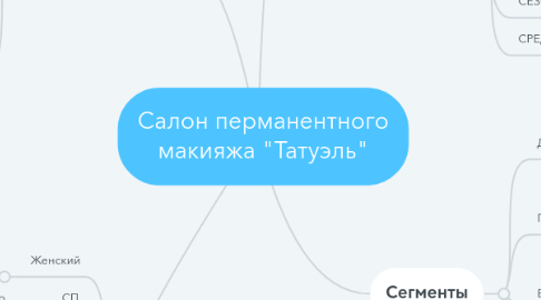 Mind Map: Салон перманентного макияжа "Татуэль"