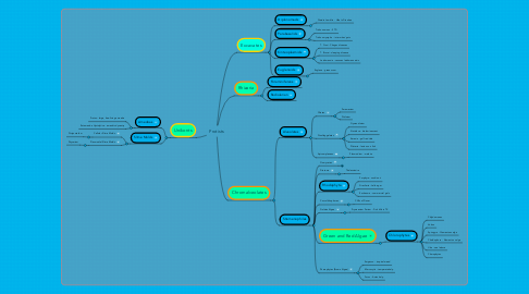 Mind Map: Protists