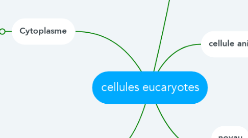 Mind Map: cellules eucaryotes