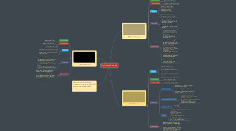 Mind Map: Continuous tenses