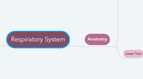 Mind Map: Respiratory System