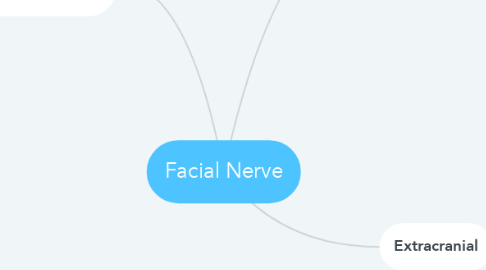Mind Map: Facial Nerve