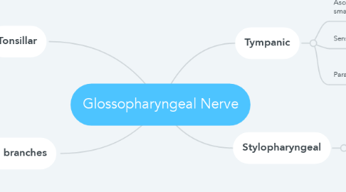 Mind Map: Glossopharyngeal Nerve