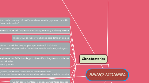 Mind Map: REINO MONERA