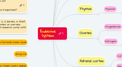 Mind Map: Endocrine System