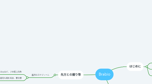 Mind Map: Brabio