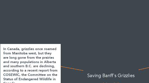 Mind Map: Saving Banff's Grizzlies