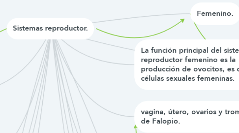 Mind Map: Sistemas reproductor.