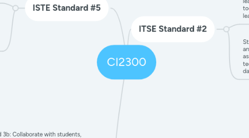 Mind Map: CI2300