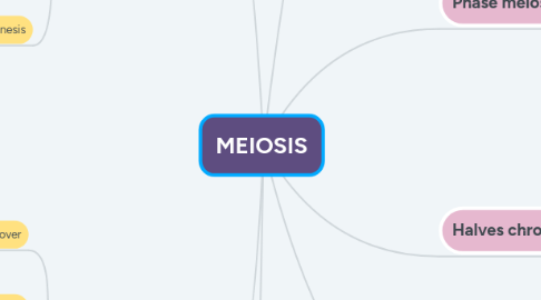 Mind Map: MEIOSIS