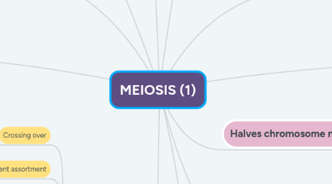 Mind Map: MEIOSIS (1)