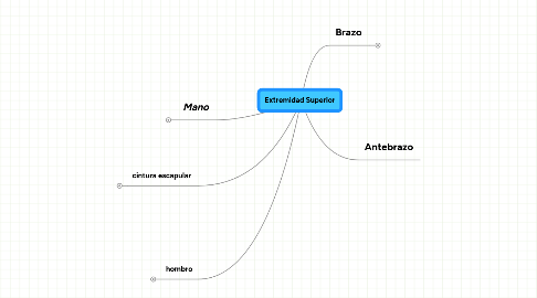 Mind Map: Extremidad Superior