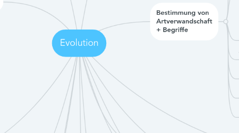 Mind Map: Evolution