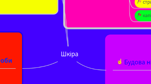 Mind Map: Шкіра