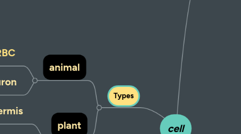 Mind Map: cell