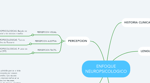 Mind Map: ENFOQUE NEUROPSICOLOGICO