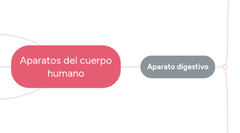 Mind Map: Aparatos del cuerpo humano