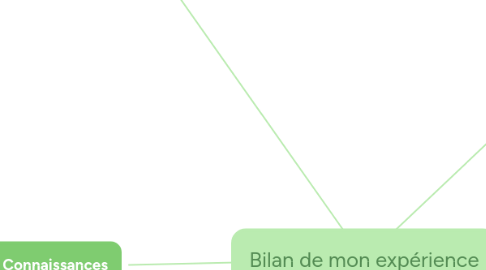 Mind Map: Bilan de mon expérience