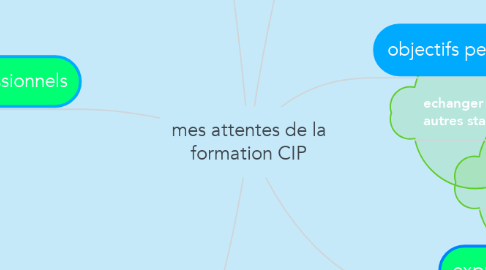 Mind Map: mes attentes de la formation CIP