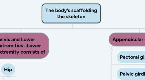 Mind Map: The body’s scaffolding the skeleton