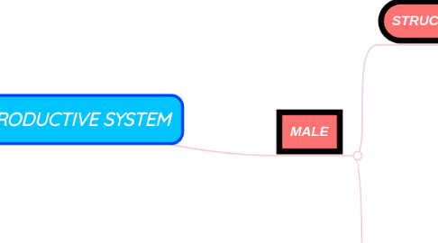 Mind Map: REPRODUCTIVE SYSTEM