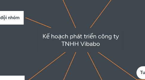 Mind Map: Kế hoạch phát triển công ty TNHH Vibabo