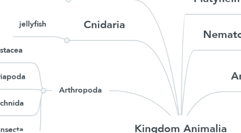 Mind Map: Kingdom Animalia