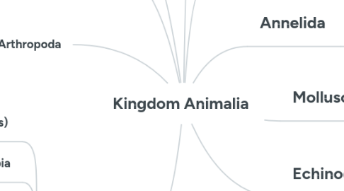 Mind Map: Kingdom Animalia