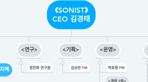 Mind Map: 《SONIST》 CEO 김경태