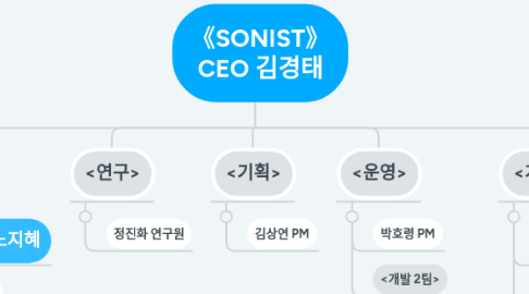 Mind Map: 《SONIST》 CEO 김경태