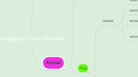 Mind Map: Analgesic from Natural