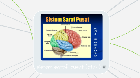 Mind Map: sistem saraf pusat (otak)