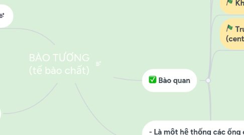 Mind Map: BÀO TƯƠNG (tế bào chất)