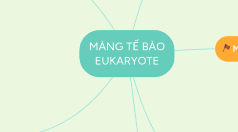 Mind Map: MÀNG TẾ BÀO EUKARYOTE