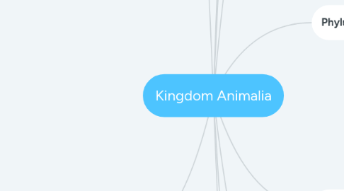 Mind Map: Kingdom Animalia