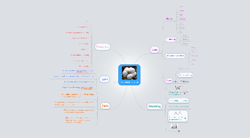 Mind Map: COTTON (CO)