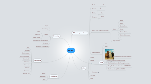 Mind Map: WOOL