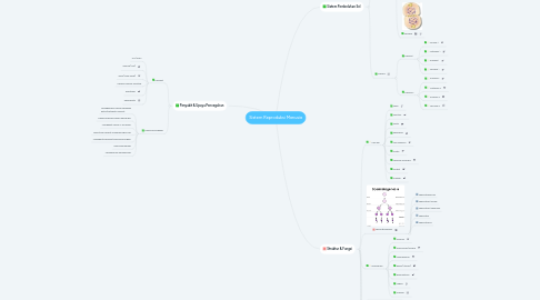 Mind Map: Sistem Reproduksi Manusia