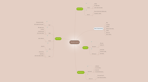 Mind Map: Valuable wools