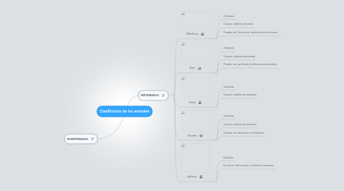 Mind Map: Clasificación de los animales