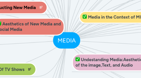 Mind Map: MEDIA