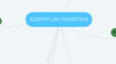 Mind Map: SUBPHYLUM HEXAPODA