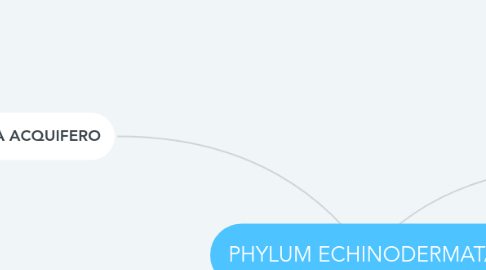 Mind Map: PHYLUM ECHINODERMATA