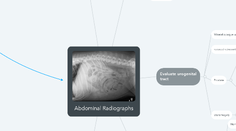 Mind Map: Abdominal Radiographs