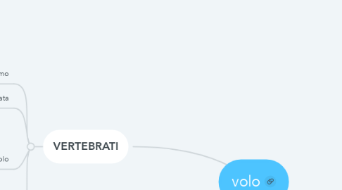 Mind Map: volo