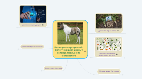 Mind Map: Застосування результатів біологічних досліджень у селекції, медицині та біотехнології