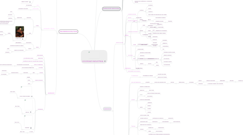 Mind Map: SOCIEDAD INDUSTRIAL