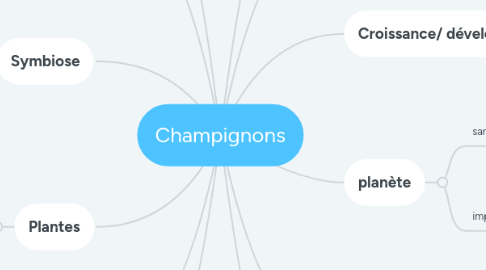 Mind Map: Champignons