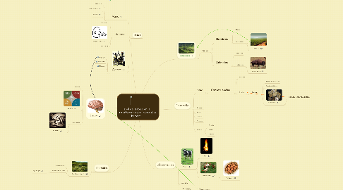 Mind Map: Papel del trabajo en la transformación del mono al hombre