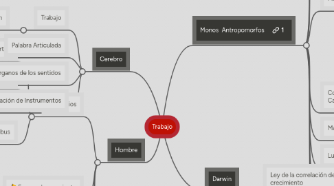 Mind Map: Trabajo